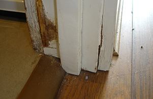 Water damage to door jamb and architraves